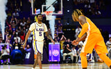 LSU's shot at knocking off a Top 5 team fell short (Photo: LSU Athletics)